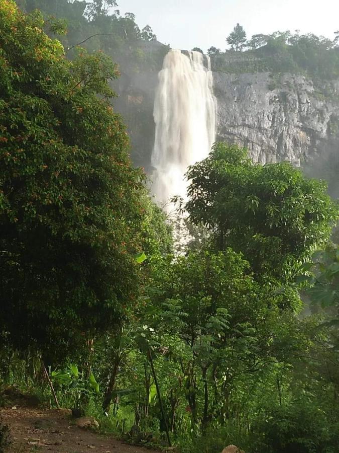 Diyaluma View Cotage Koslanda Quarto foto